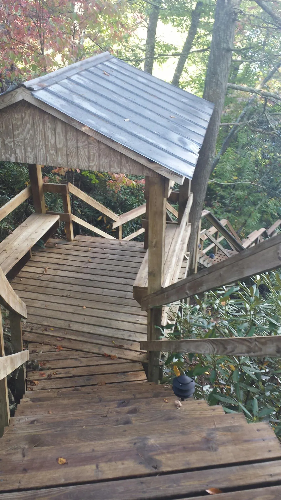 Metal roofed shelter over wooden steps on a wooded walkway — Skylight Repair & Installation work by our crew in Millen